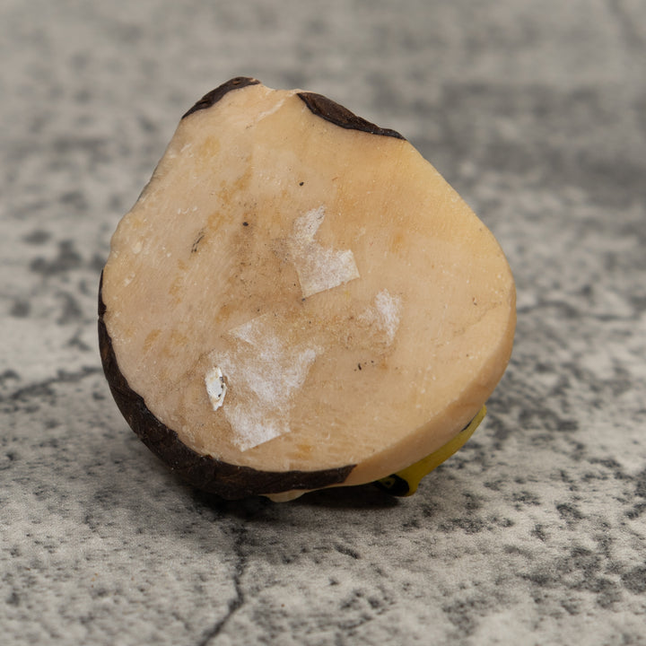 Poison Dart Frog Tagua Carving