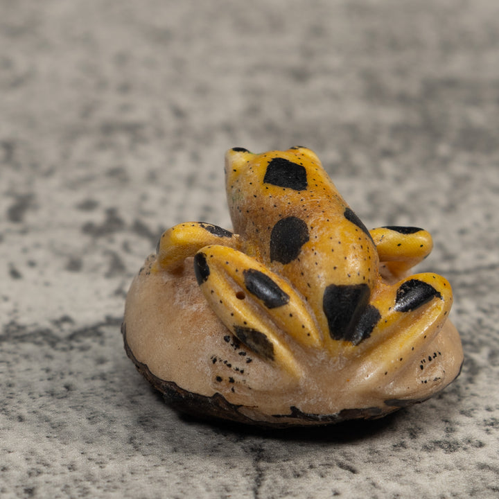Vintage Yellow And Black Poison Dart Frog Tagua Carving