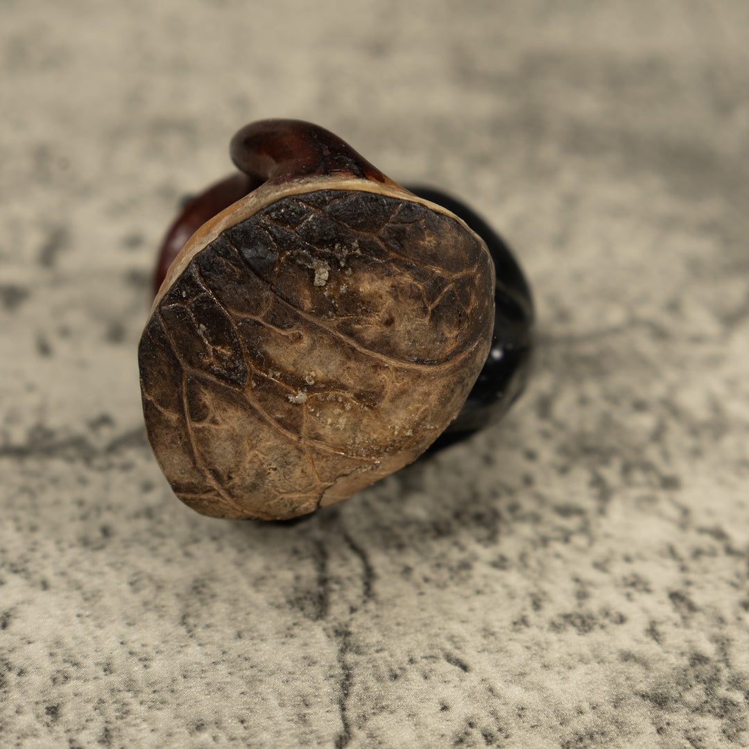 Vintage White Face Monkey Tagua Carving