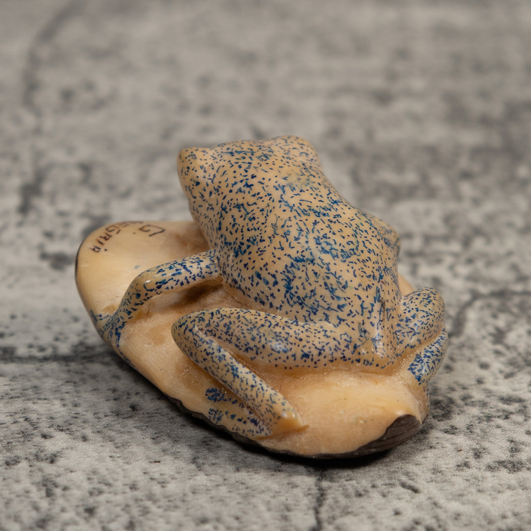 Vintage White And Blue Poison Dart Frog Tagua Carving