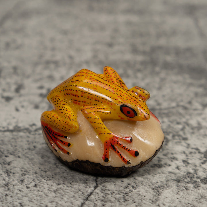Vintage Gold Red And Black Frog Tagua Carving