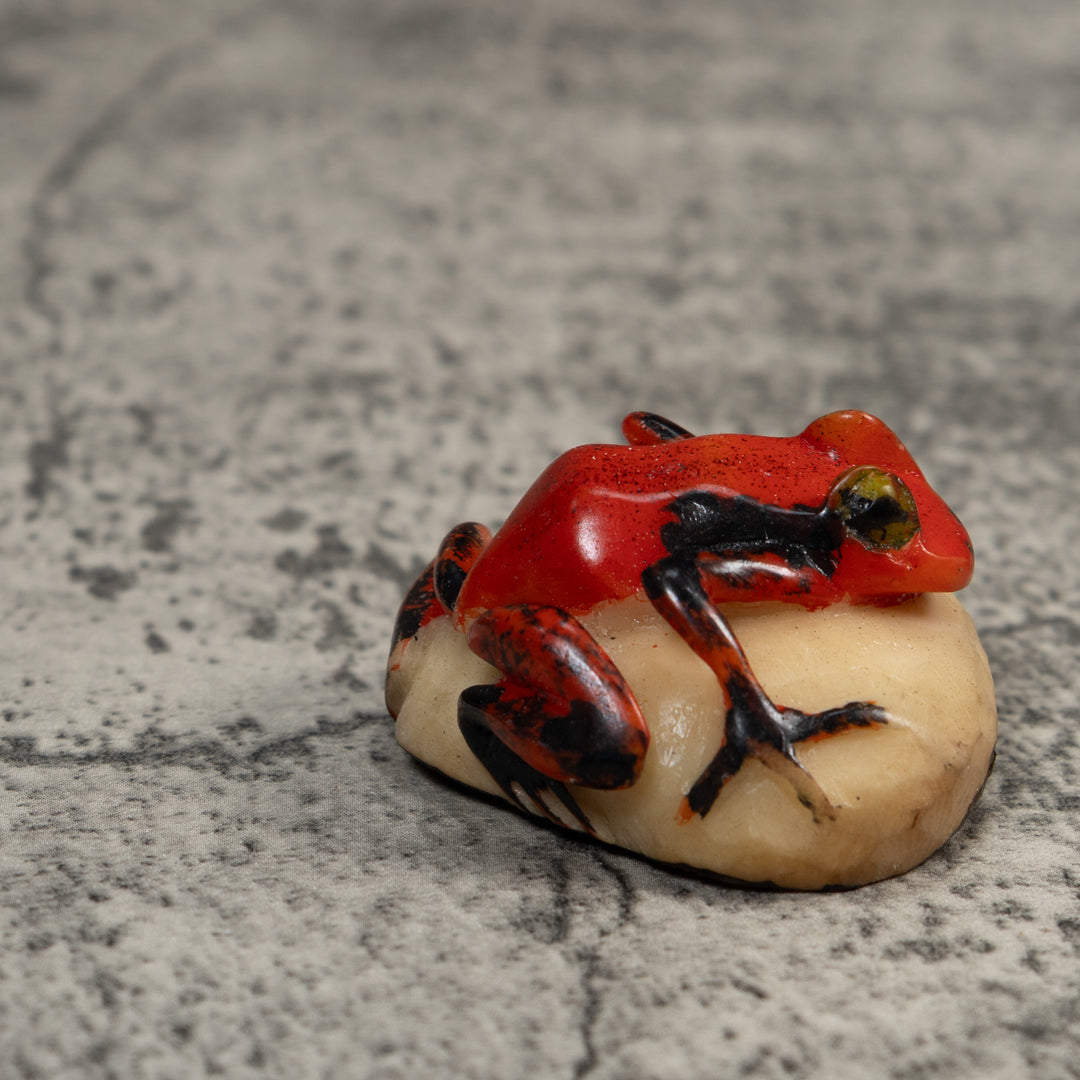 Vintage Red And Black Poison Dart Frog Tagua Carving