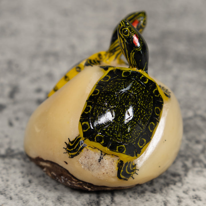 Double (2) Tortoise Turtle Tagua Carving