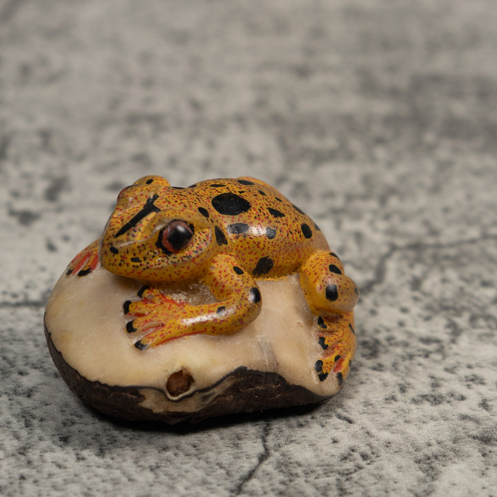 Gold And Black Poison Dart Frog Tagua Carving