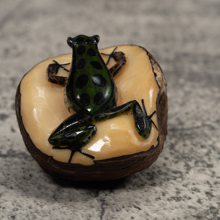 Poison Dart Frog Tagua Carving