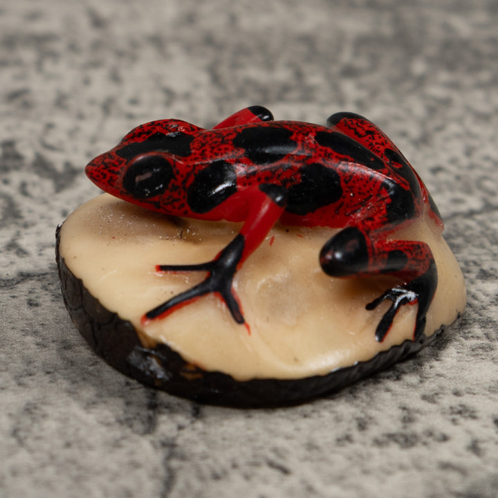 Vintage Poison Dart Frog Tagua Carving