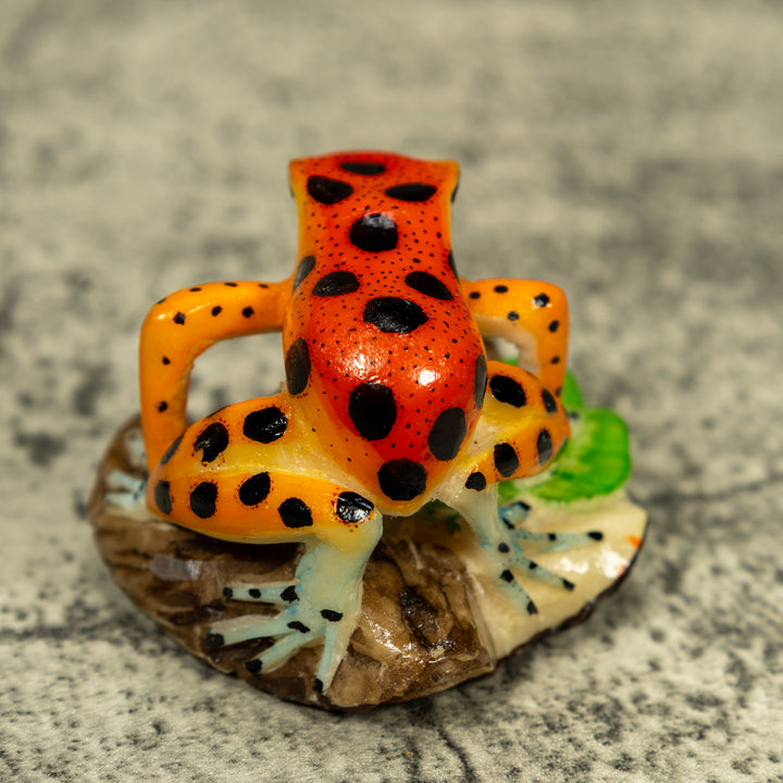 Orange And Yellow Poison Dart Frog Tagua Carving