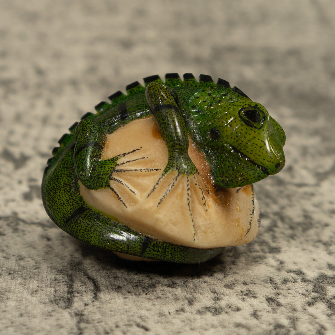 Iguana Lizard Reptile Tagua Carving