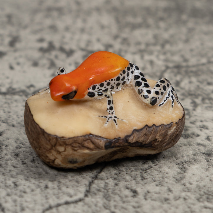 Poison Dart Frog Tagua Carving