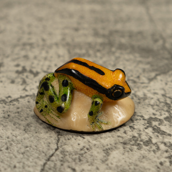 Poison Dart FrogTagua Carving