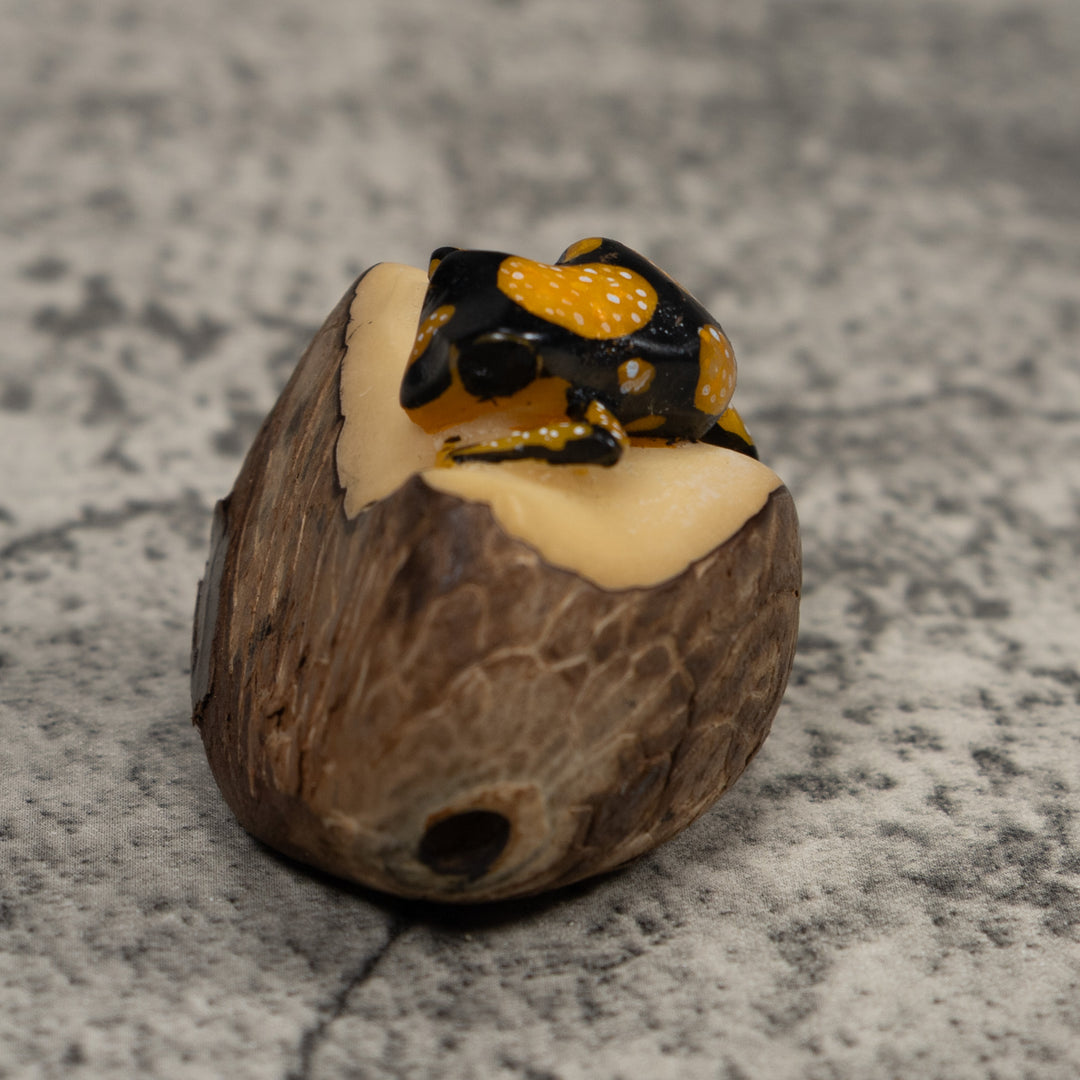 Gold White And Black Frog Tagua Carving