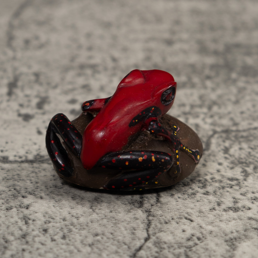 Poison Dart Frog Tagua Carving