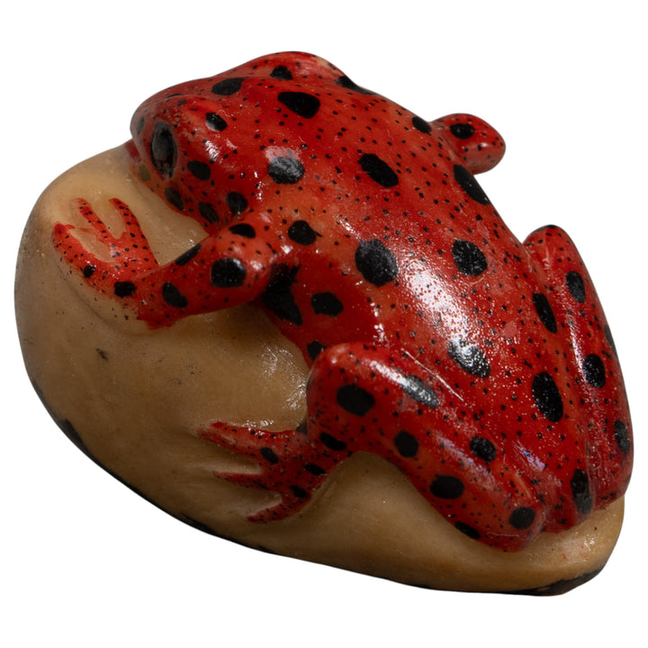 Vintage Poison Dart Frog Tagua Carving