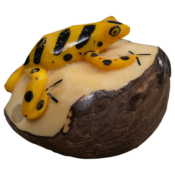 Black And Gold Poison Dart Frog Tagua Carving