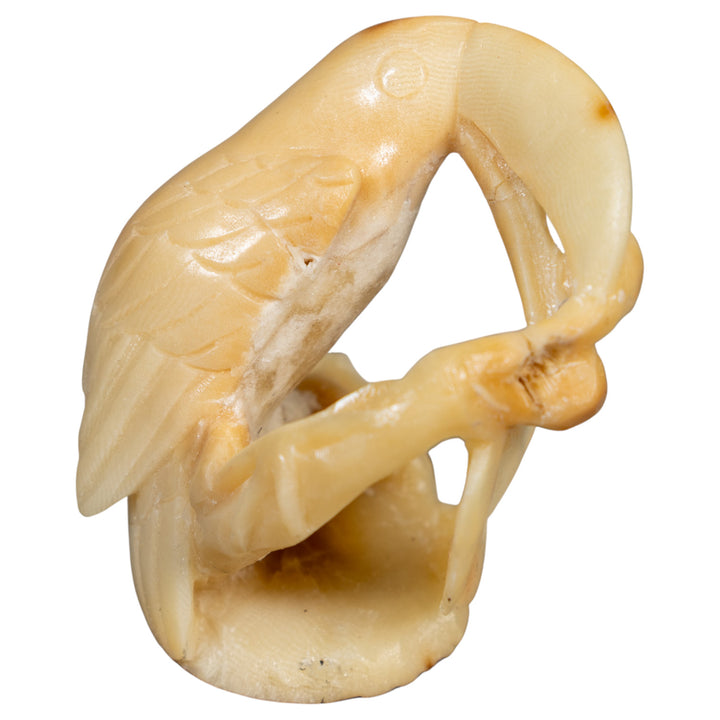 Vintage Natural White Toucan Parrot Bird Tagua Carving