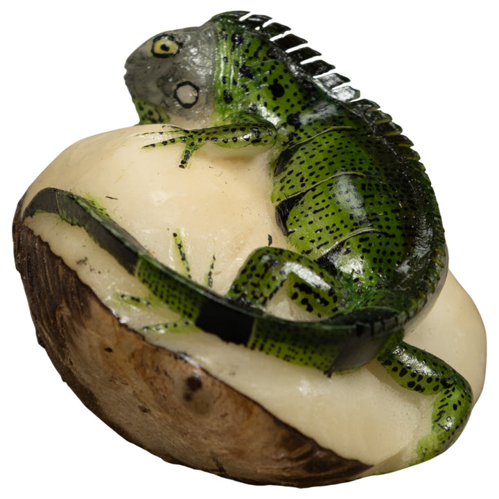 Iguana Lizard Tagua Carving