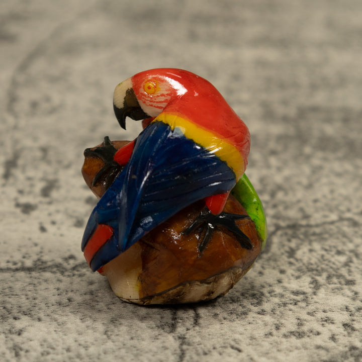 Macaw Parrot Bird Tagua Carving