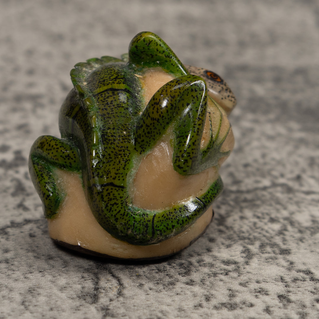 Iguana Lizard Reptile Tagua Carving