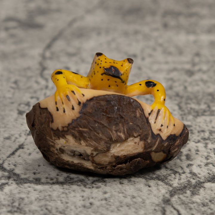 Vintage Yellow And Black Poison Dart Frog Tagua Carving