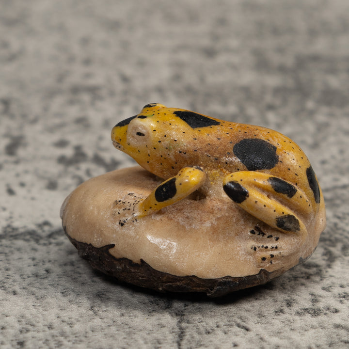 Vintage Yellow And Black Poison Dart Frog Tagua Carving