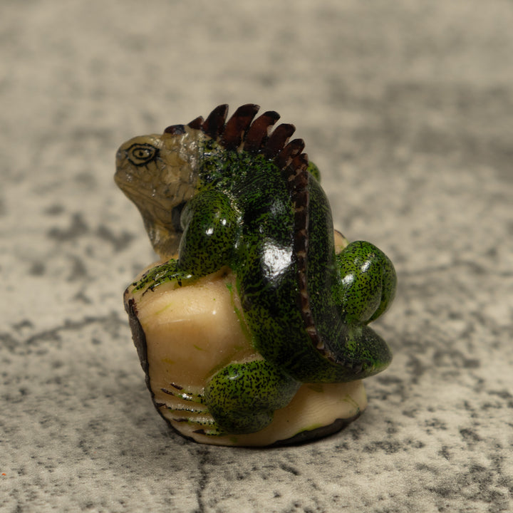 Iguana Lizard Reptile Tagua Carving
