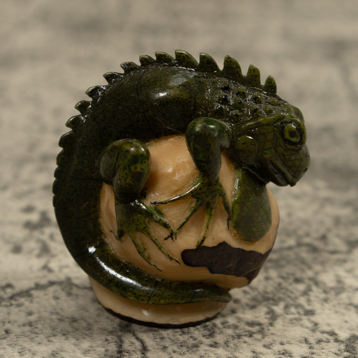 Iguana Lizard Reptile Tagua Carving