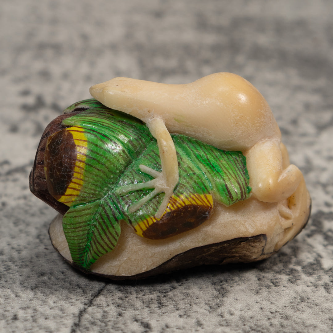 White And Green Natural Frog Tagua Carving