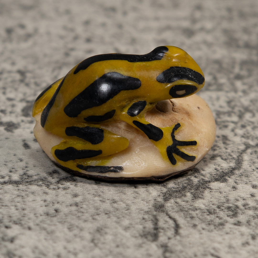 Vintage Yellow And Black Poison Dart Frog Tagua Carving