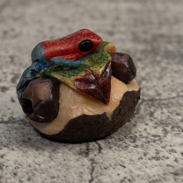 Red And Blue Poison Dart Frog Tagua Carving