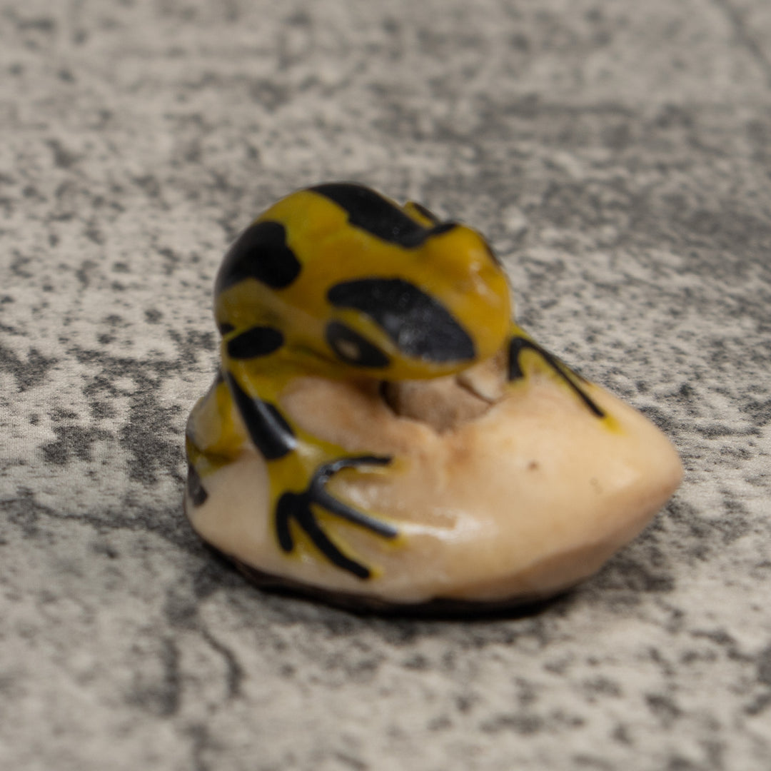 Vintage Yellow And Black Poison Dart Frog Tagua Carving