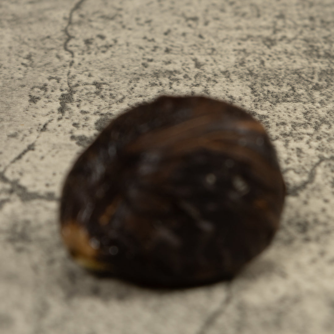 Snake Eating A Frog Tagua Carving