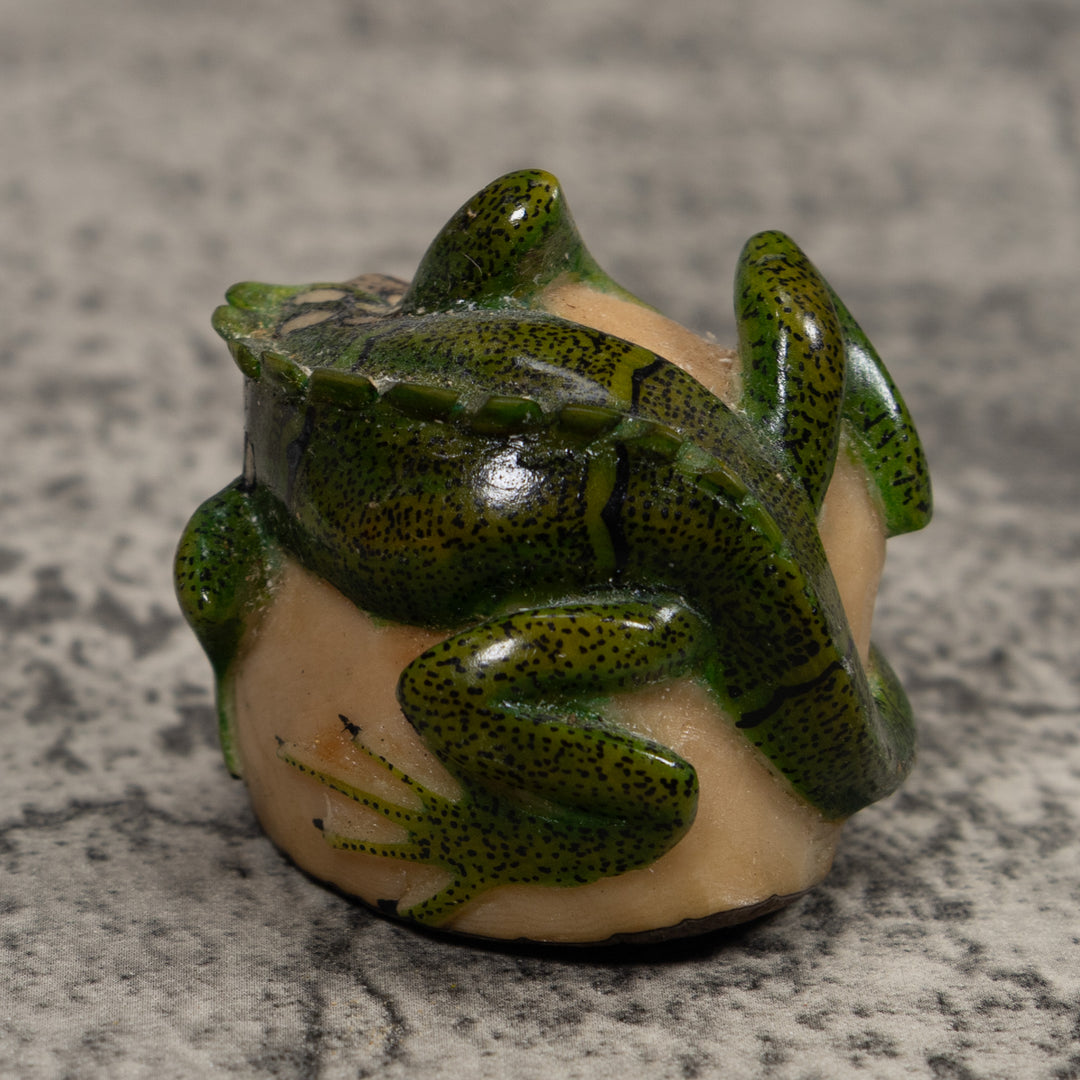Iguana Lizard Reptile Tagua Carving