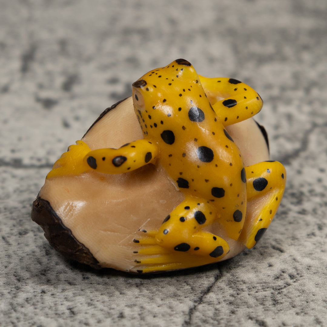 Vintage Yellow And Black Poison Dart Frog Tagua Carving