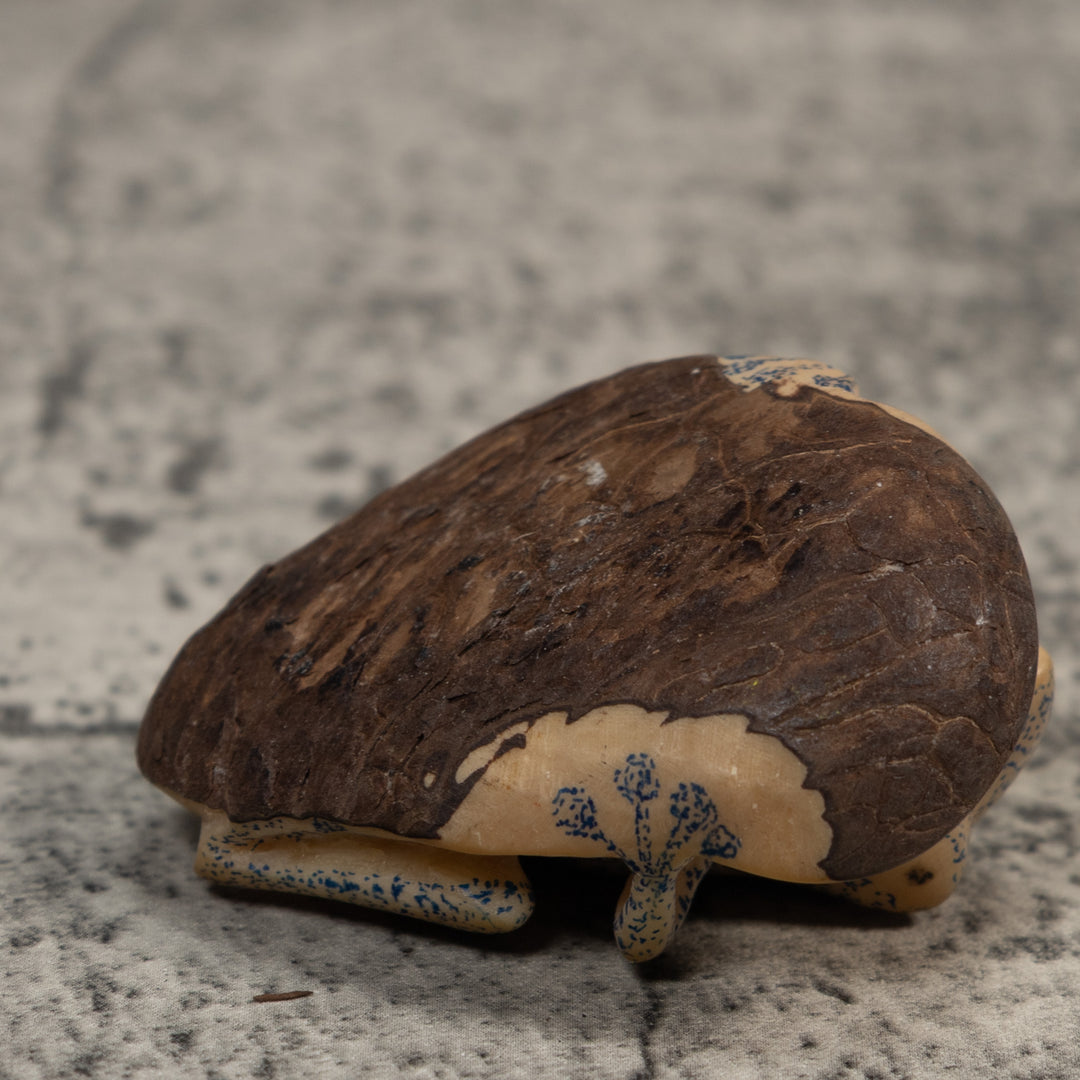 Vintage White And Blue Poison Dart Frog Tagua Carving