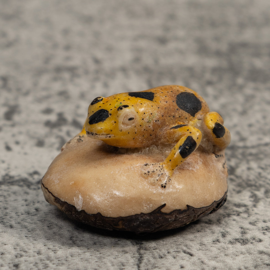 Vintage Yellow And Black Poison Dart Frog Tagua Carving