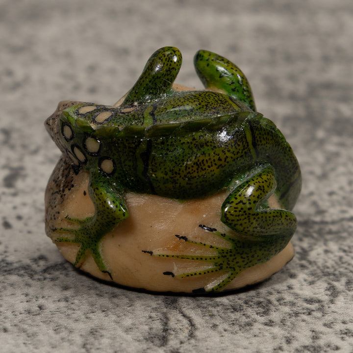 Iguana Lizard Reptile Tagua Carving