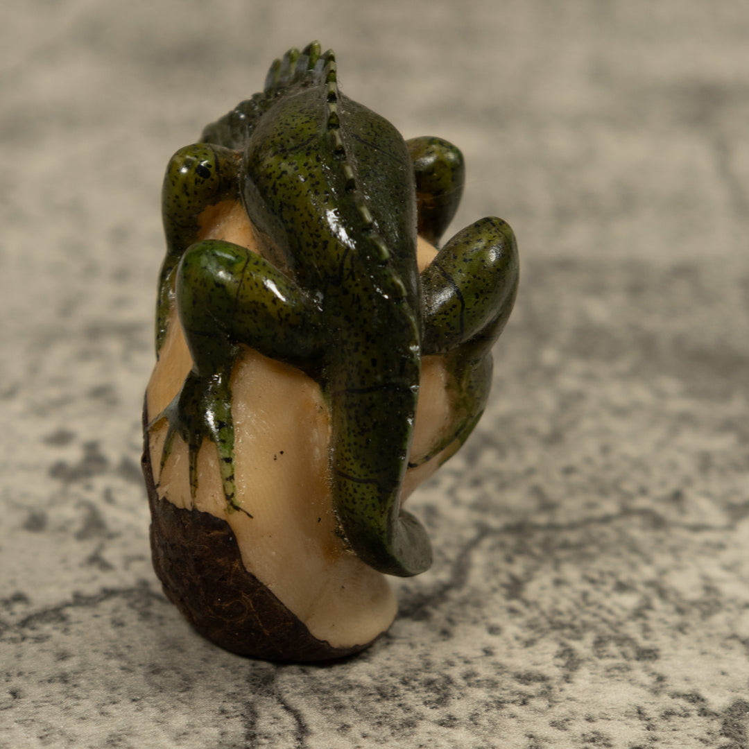 Iguana Lizard Reptile Tagua Carving