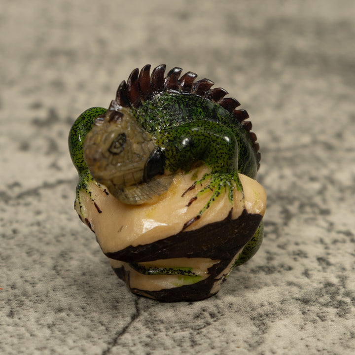 Iguana Lizard Reptile Tagua Carving