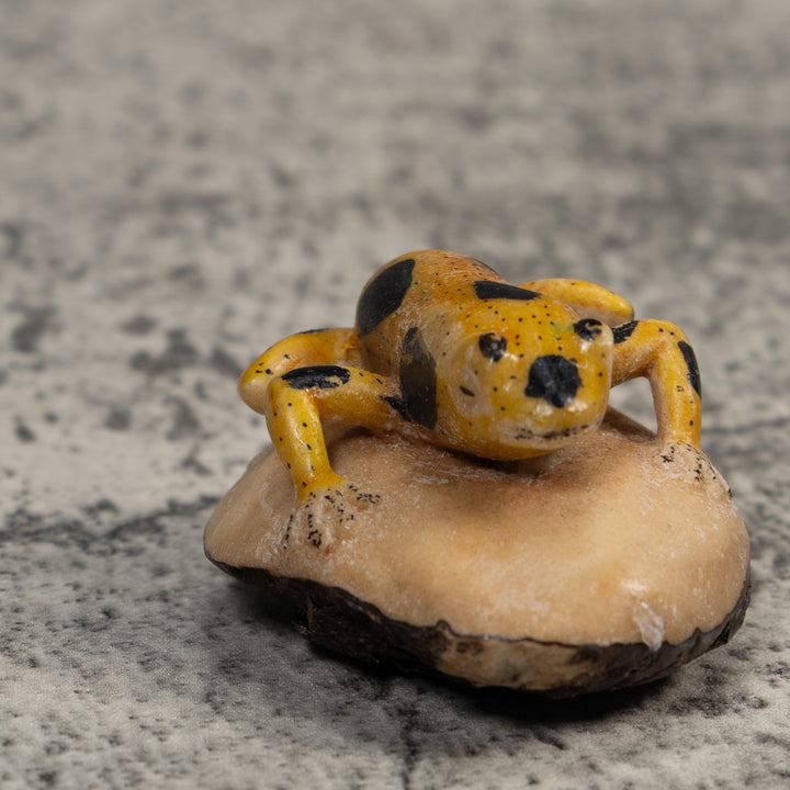 Vintage Yellow And Black Poison Dart Frog Tagua Carving