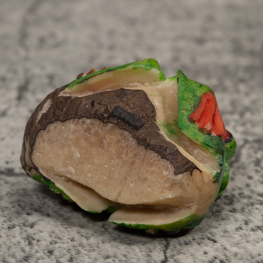 Red-Eye Tree Frog Tagua Carving