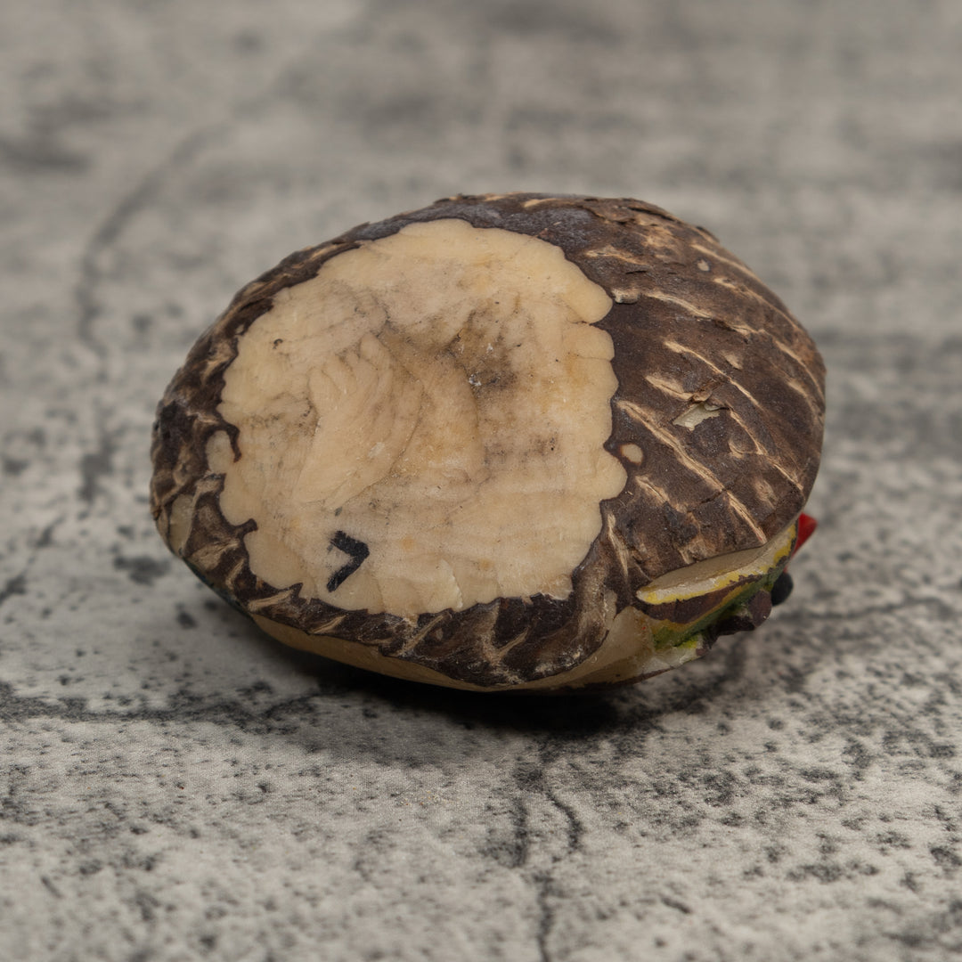 Red And Blue Poison Dart Frog Tagua Carving