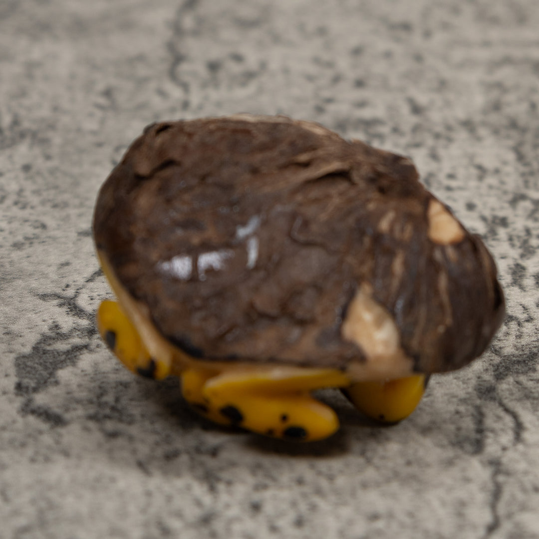 Vintage Yellow And Black Poison Dart Frog Tagua Carving