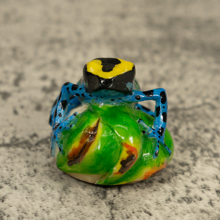 Black Yellow And Blue Poison Dart Frog Tagua Carving