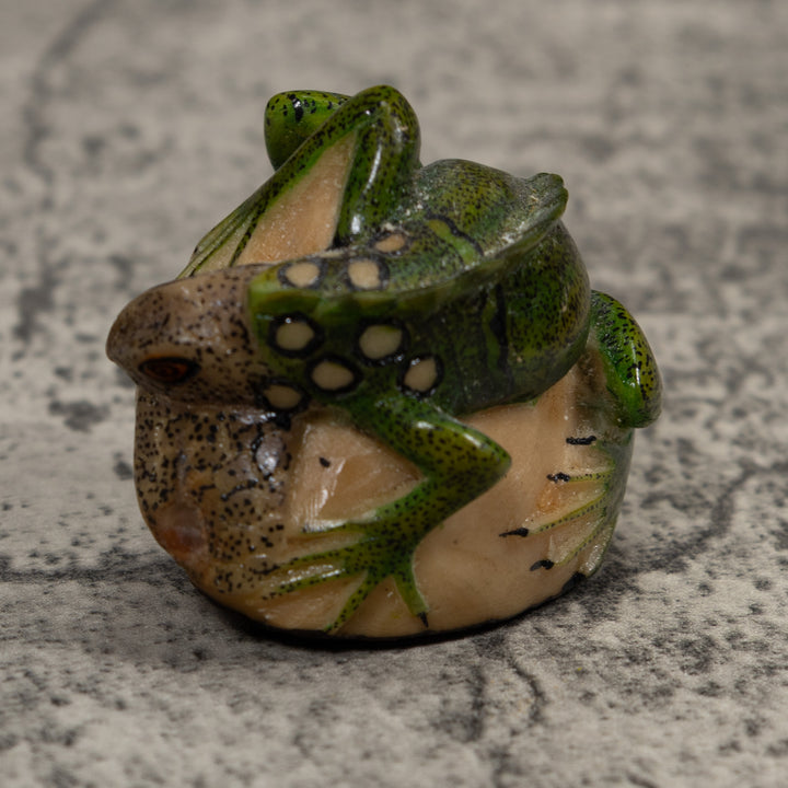 Iguana Lizard Reptile Tagua Carving