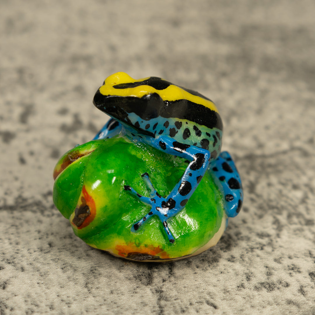 Black Yellow And Blue Poison Dart Frog Tagua Carving