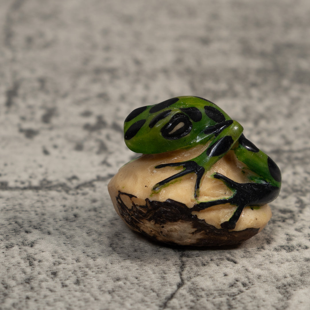 Vintage Green And Black Frog Tagua Carving