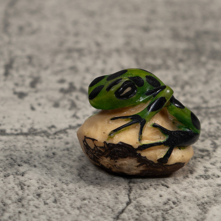 Vintage Green And Black Frog Tagua Carving