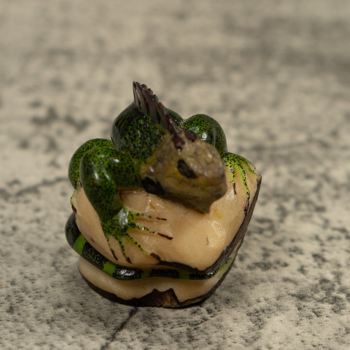 Iguana Lizard Reptile Tagua Carving