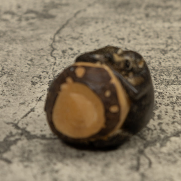 Two Coatimundi Tagua Carving