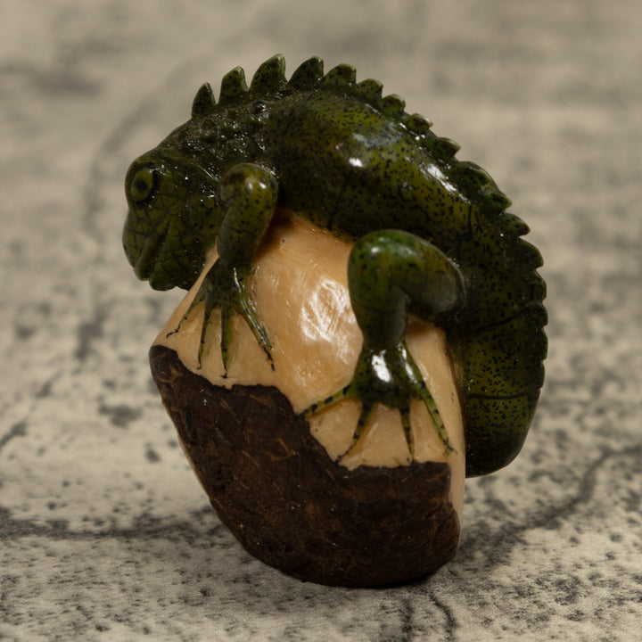 Iguana Lizard Reptile Tagua Carving